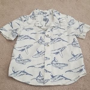 Old Navy button down. Size 4T